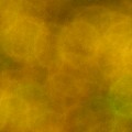 Bokeh-493